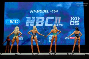 FIT-MODEL +164 раунд 1